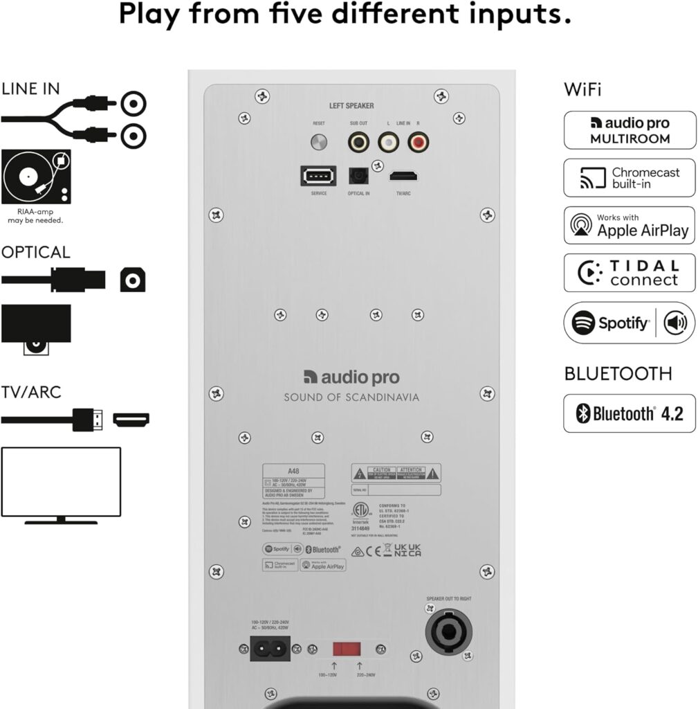 Audio Pro A48 Test - Anschlüsse