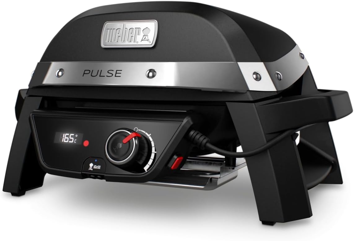 Weber Pulse 1000 Test - Bild